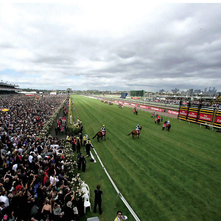 Want Golden Gate Race Track Results? Find All Todays Results Right Here!