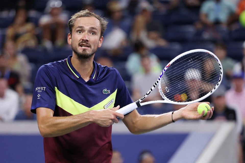 Daniel Medvedev shush controversy:  Learn what fans are saying about this viral moment.