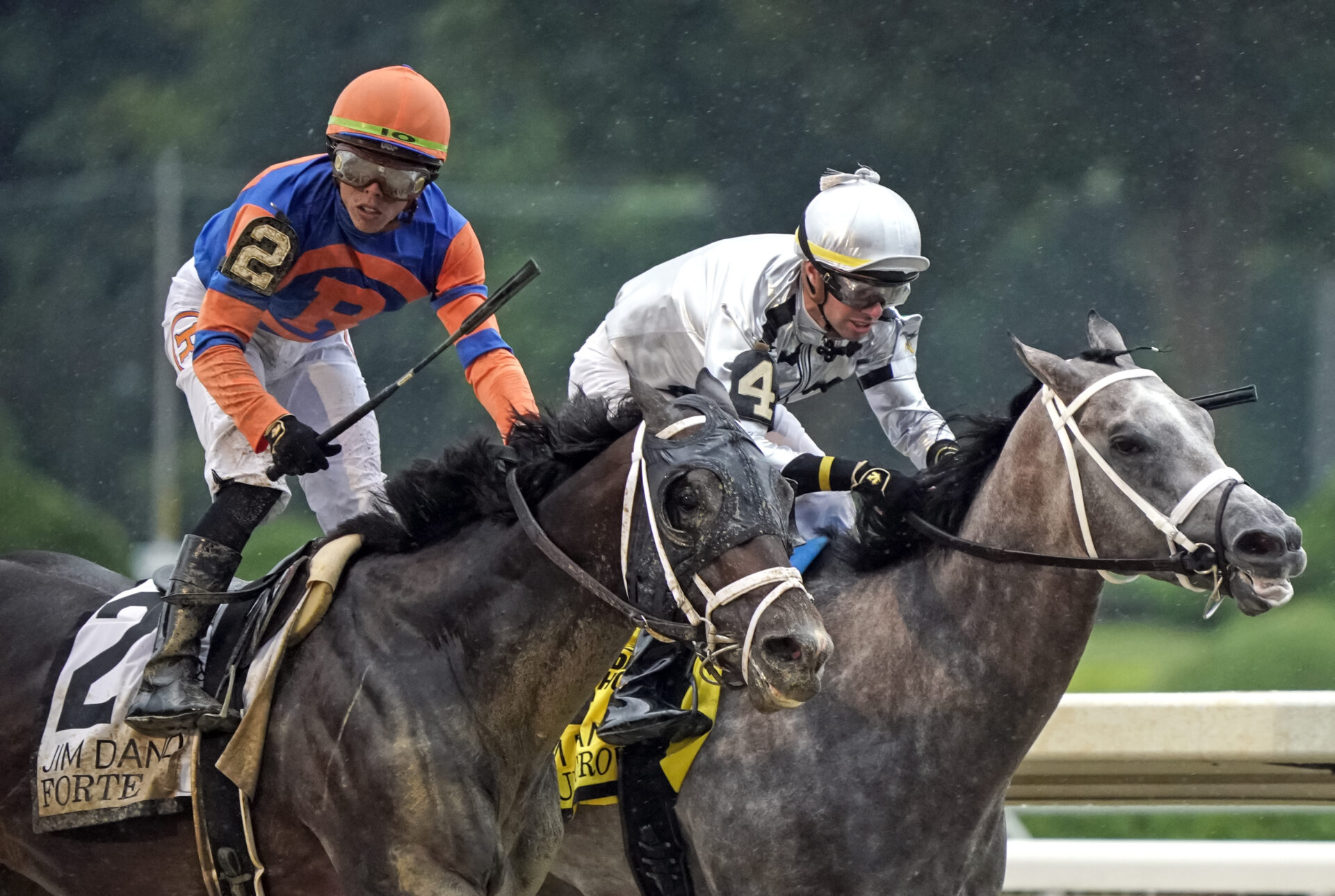 Want the Latest Jim Dandy Results? Get Them All Right Here.