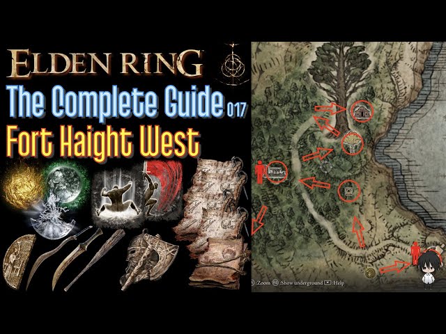 Fort Haight Guide: How to Get Started (Things to Know)