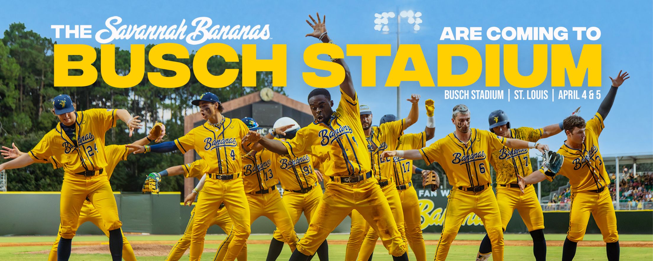 Savannah Bananas St Louis Tickets: Dont Miss Out, Grab Your Tickets Before They Sell Out!