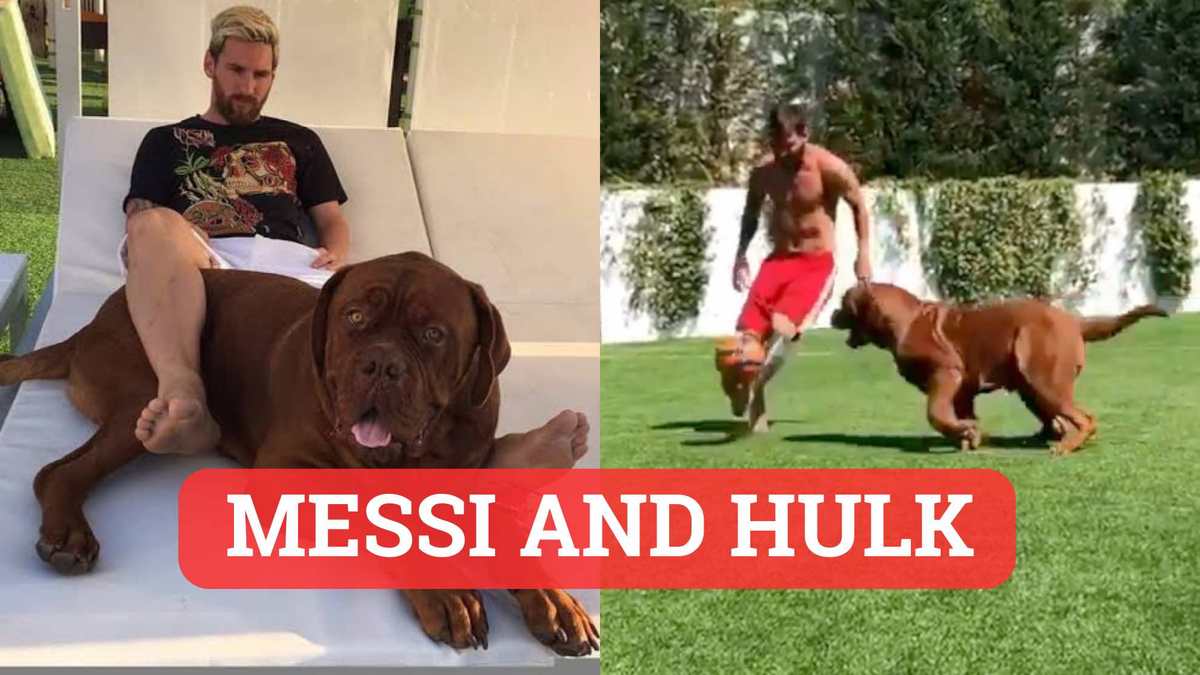 Messi and Hulk: How Would This Unlikely Pair Conquer the Soccer World?