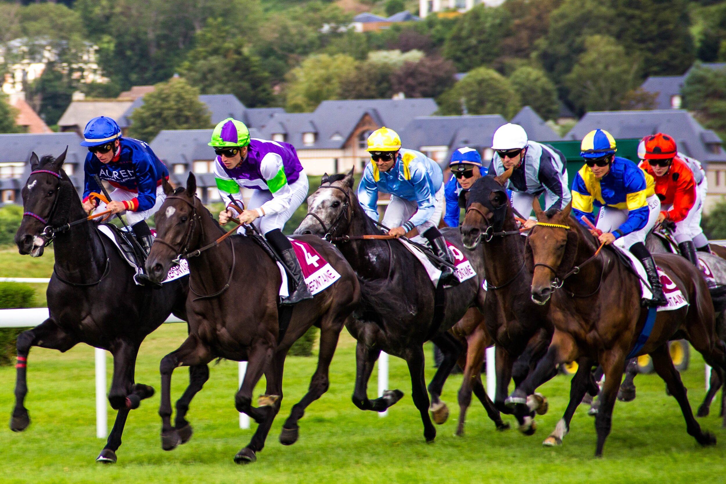 Northern California Horse Racing: A Guide to the Best Tracks and Events