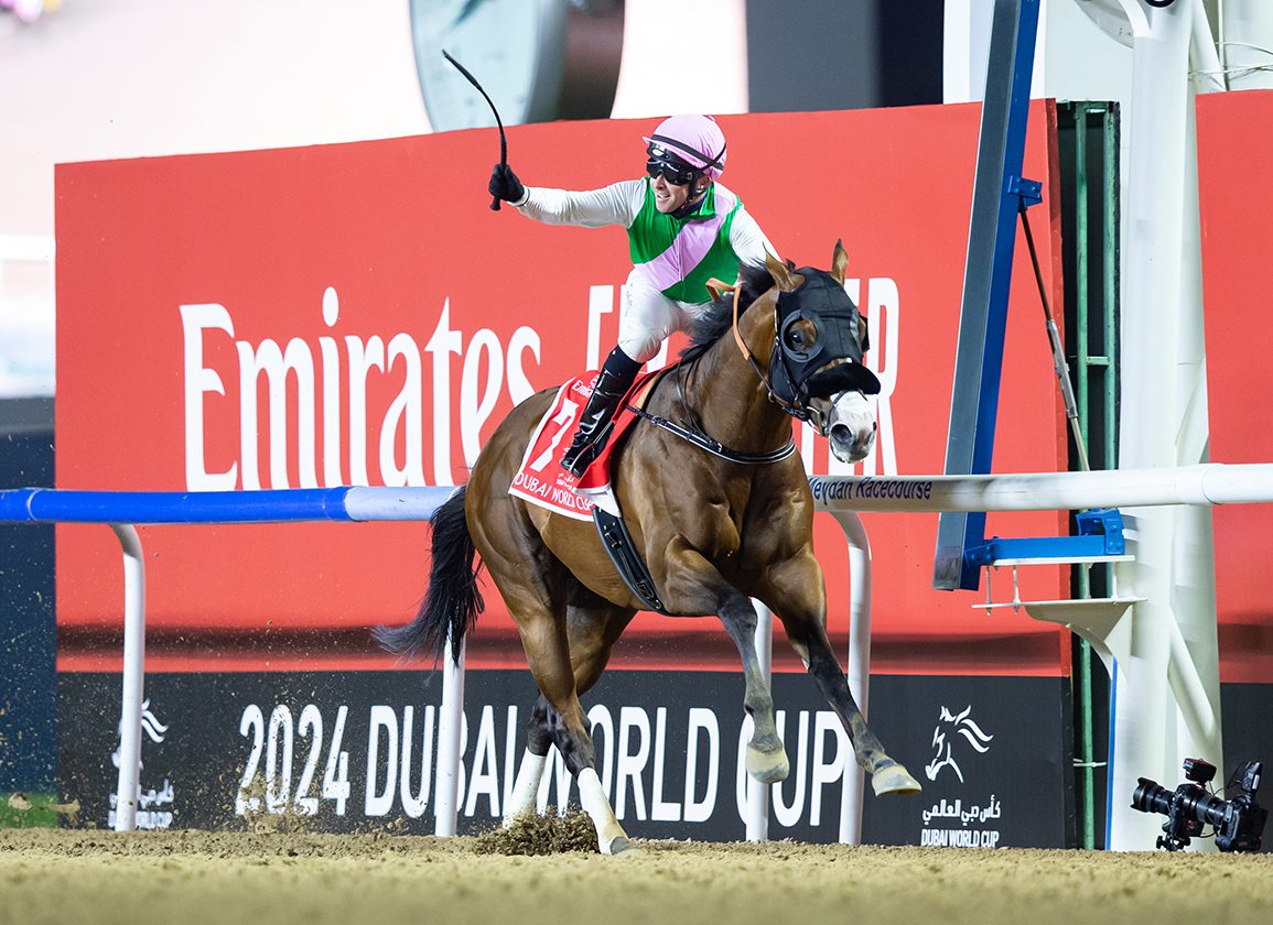 Dubai Sheema Classic 2024: Who Will Win This Years Race?