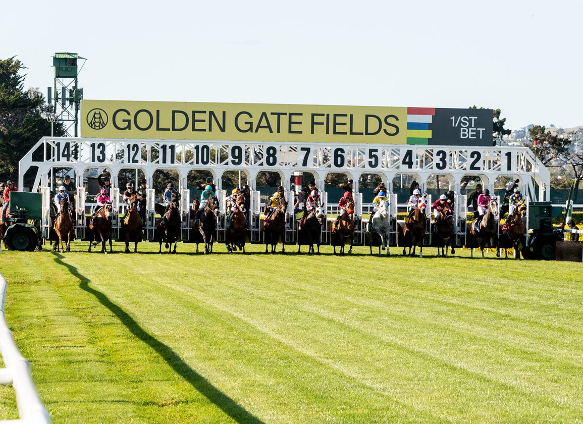 Want Golden Gate Race Track Results? Find All Todays Results Right Here!