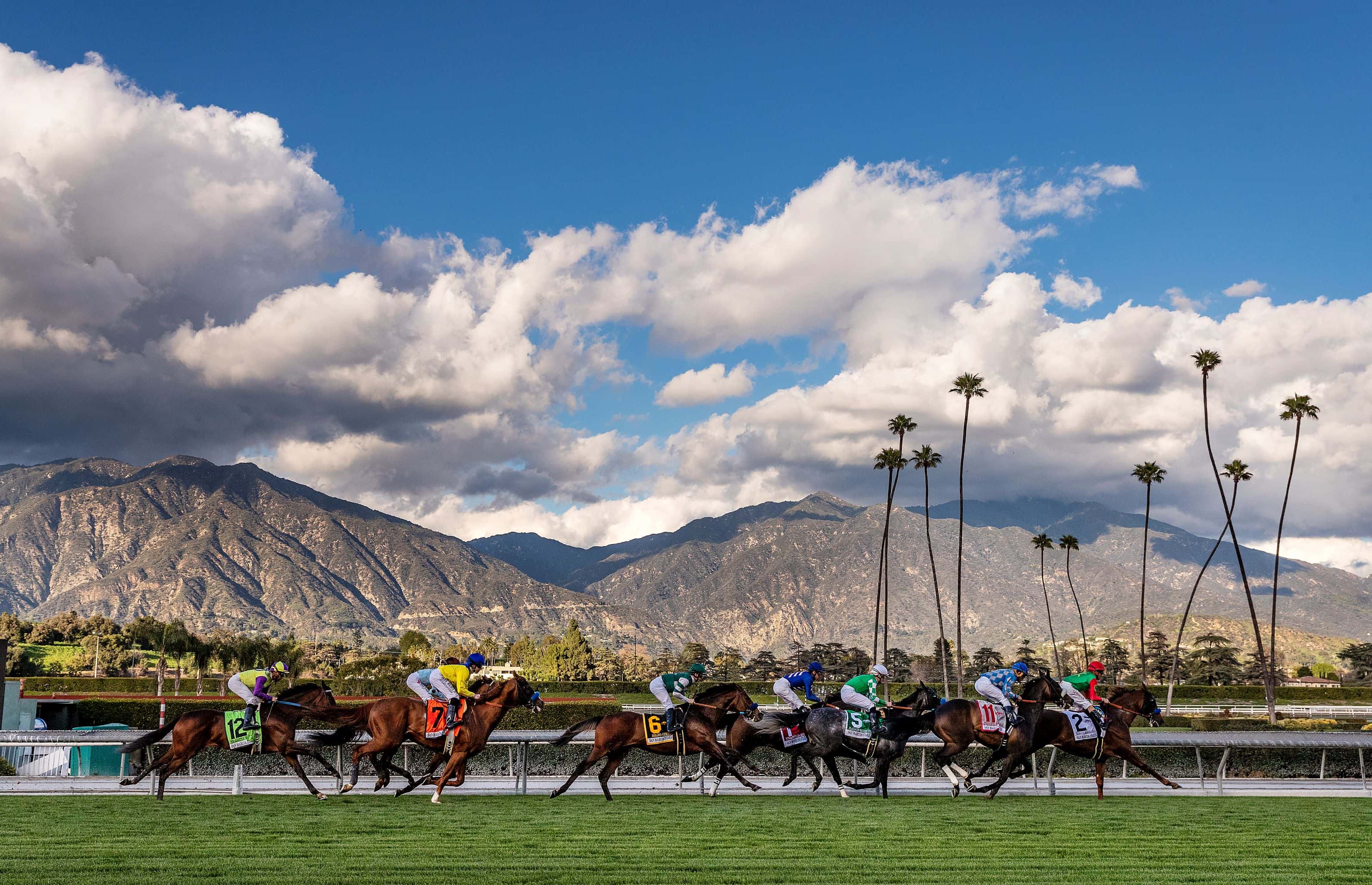 Santa Anita Overnights: What You Need to Know Before the Races Begin