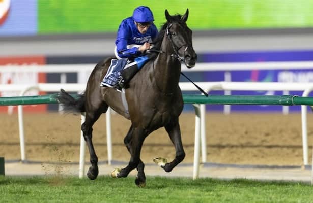 Dubai Sheema Classic 2024: Who Will Win This Years Race?
