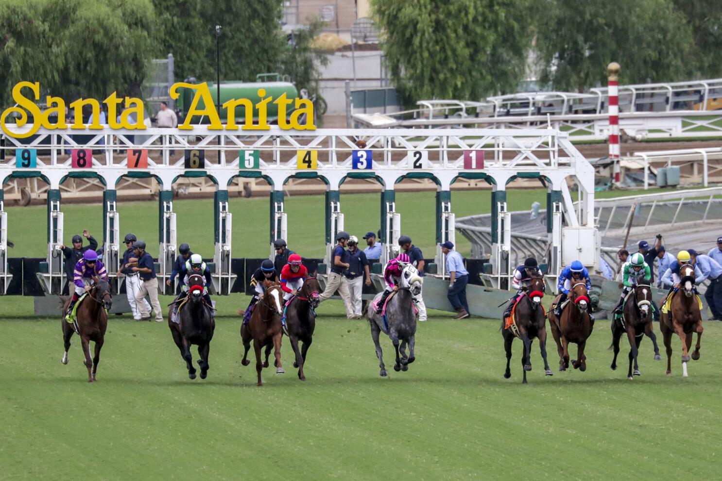 Northern California Horse Racing: A Guide to the Best Tracks and Events