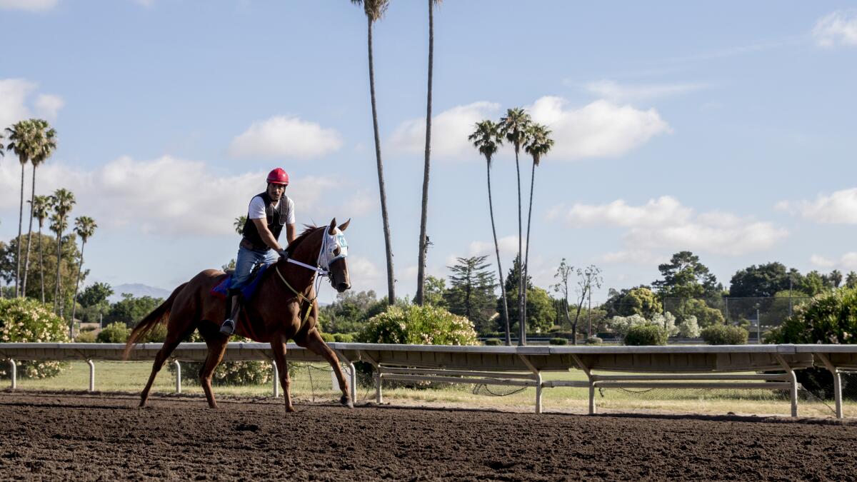 Northern California Horse Racing: A Guide to the Best Tracks and Events