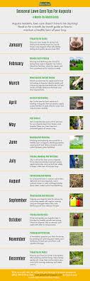 Augusta Tree Care Guide: Simple Tips for Healthy Growth Now!