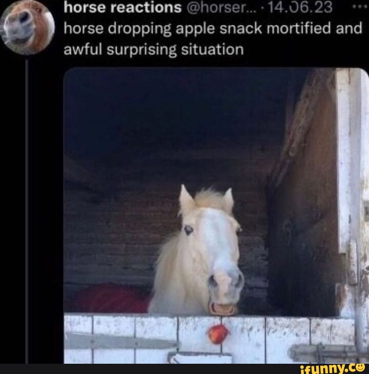 See This Horse Reaction Apple Surprise Twitter Video That Has Millions of Views