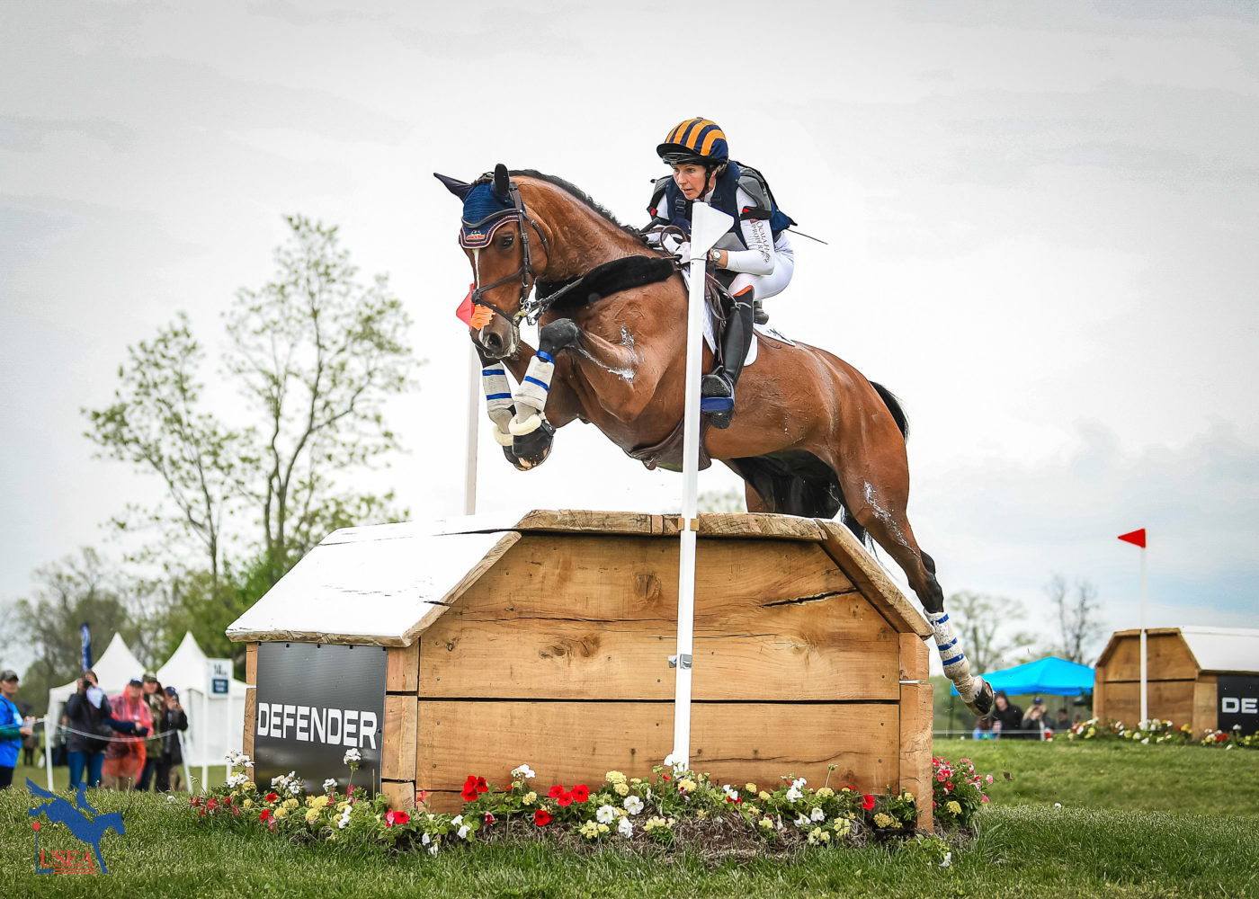 The Ultimate Guide to the Kentucky 3 Day Event: Tips for First-Timers!