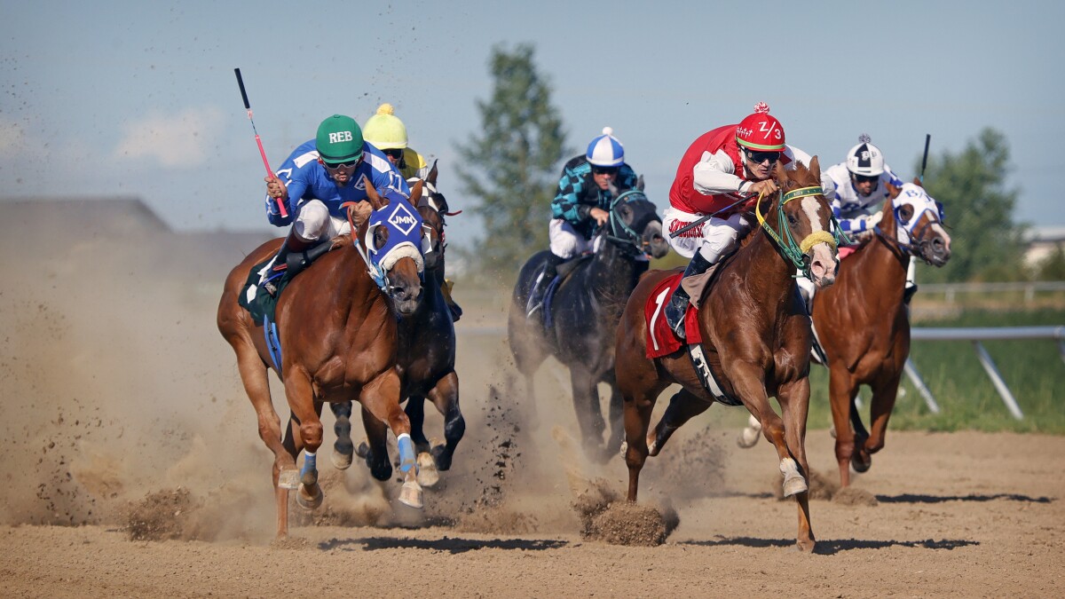 Fargo Horse Racing Live Stream: Where Can I Watch Races Online?