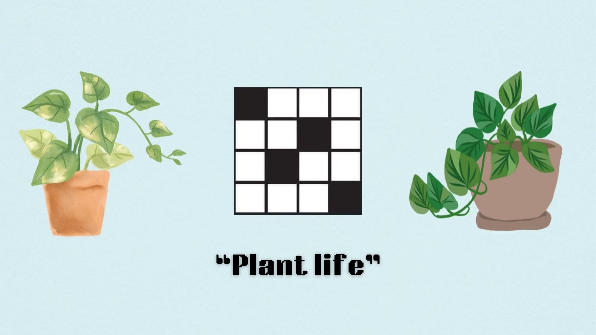 Plant life nyt crossword tips! How to solve these clues and become a better player!