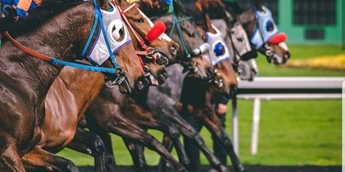 Golden Gate Live Racing: Your Ultimate Guide to Watching and Enjoying the Races!