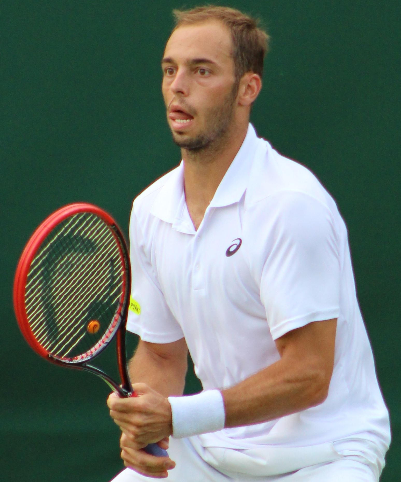 Tim Puetz: Pro Tennis Player Stats - Everything You Need to Know
