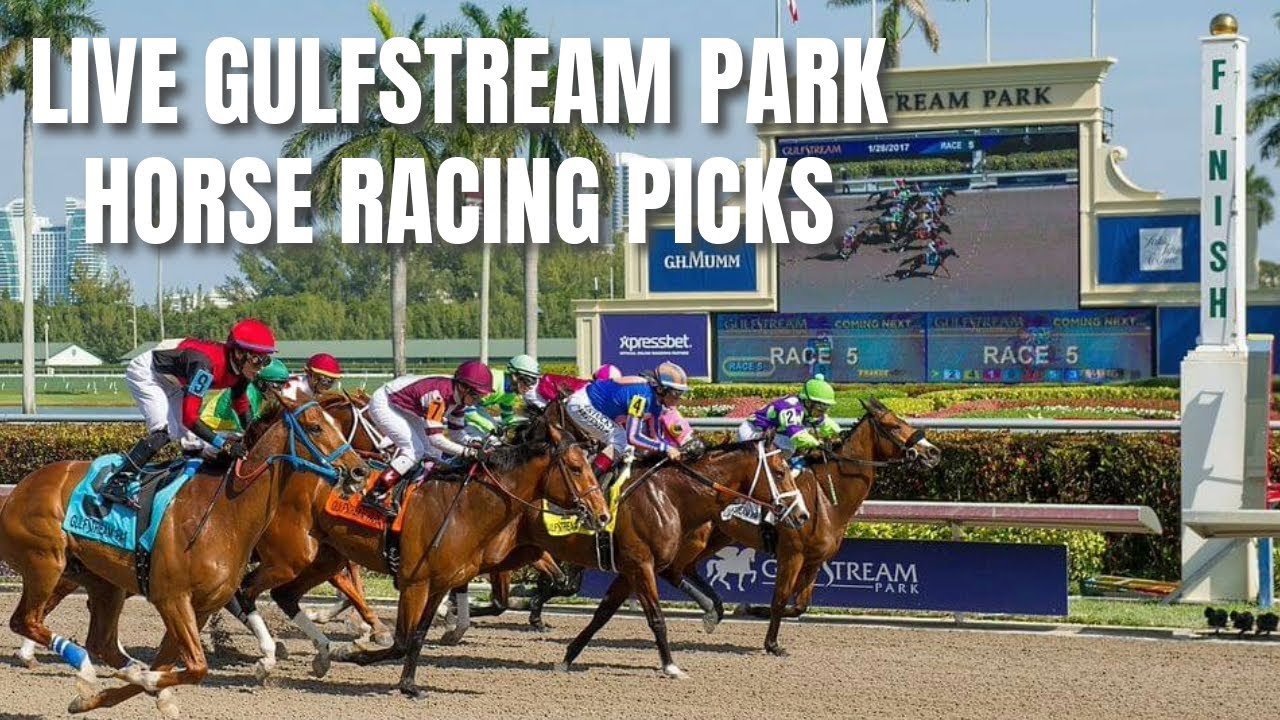 Gulfstream Park Live En Español: Enjoy Live Racing Action in Your Language!