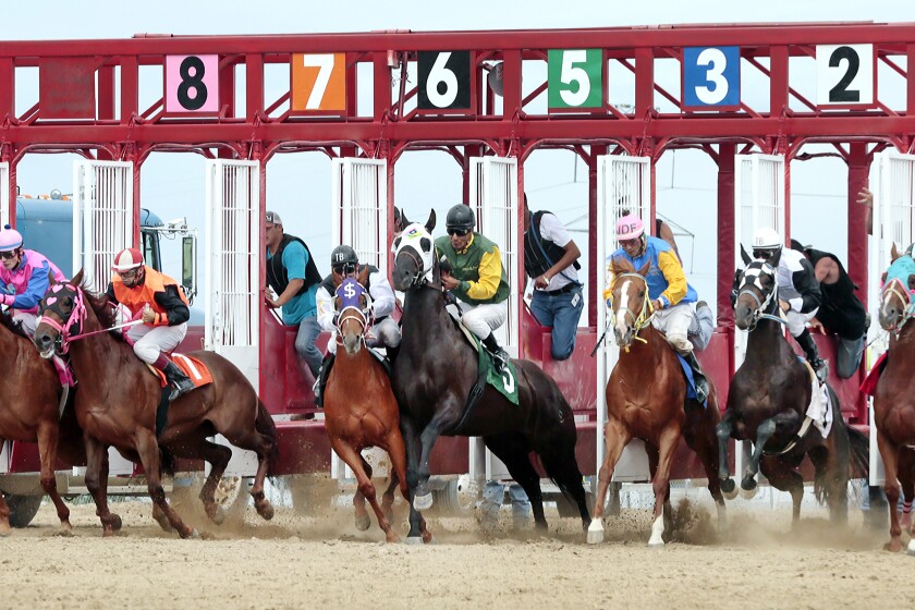 Fargo Horse Racing Live Stream: Where Can I Watch Races Online?