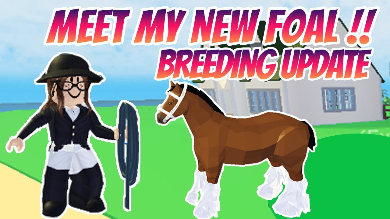 Breeding Horse Valley: What are the Common Challenges and How to Solve Them