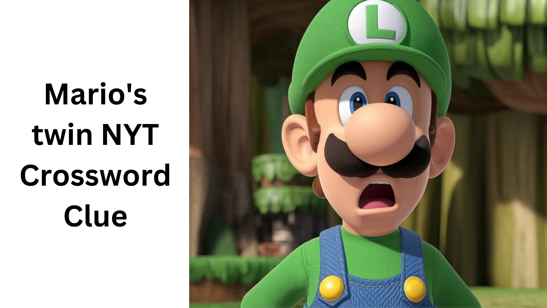 marios twin nyt, what exactly happened? Here are some facts about the incident.