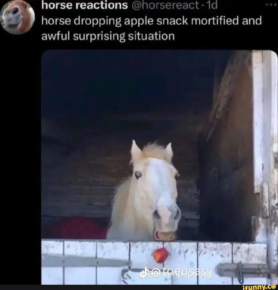 Horse Dropping Apple Reaction Twitter: Check Out These Funny Reactions From Netizens!