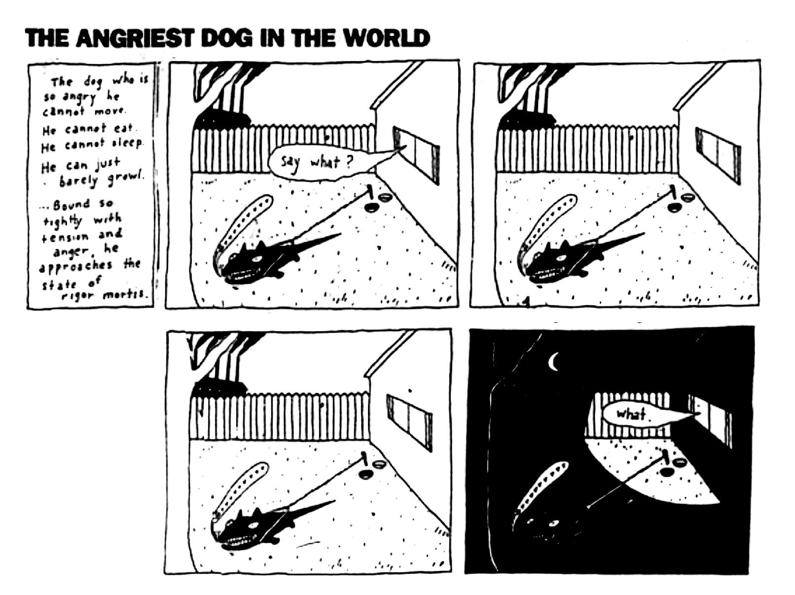 Is Your Dog Like the angriest dog in the world? Find Out!