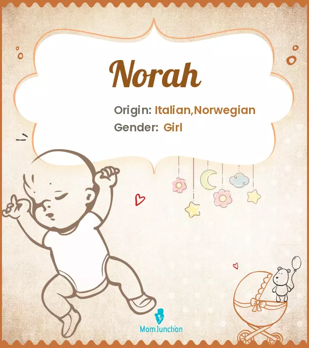 Choosing a Baby Name: Explore the Charm and Appeal of Nora Rose.