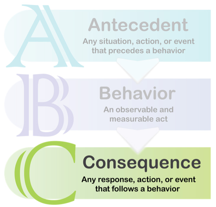 What are the two categories of consequences? Learn about Punishment and Reprimands