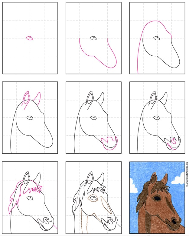 How to draw a horse head step by step: Get amazing results fast with this clear visual guide.