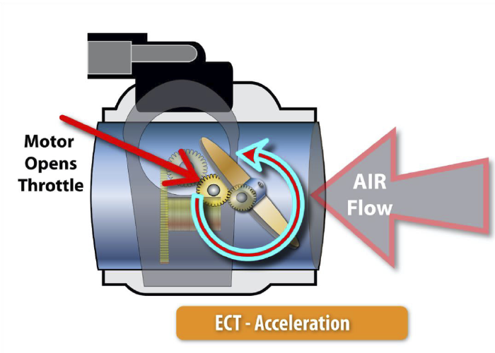 The throttle is operated like this: Get the basics right!