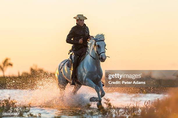 Riding High: Get the Real Story on Horse on a Man Action!