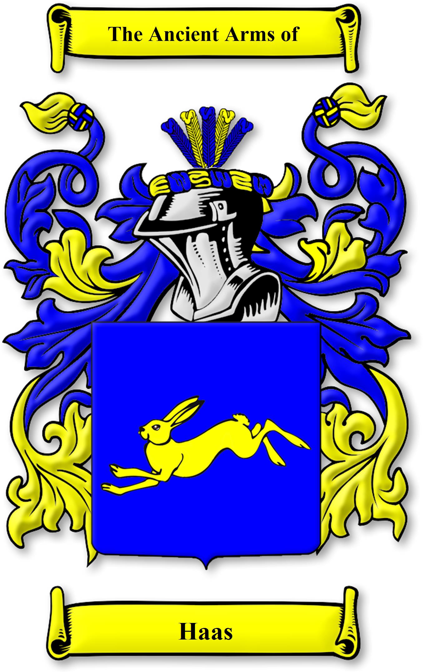 Haas Last Name: Uncover its popularity,origin, and variations.