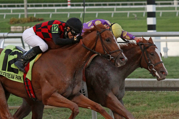 Quinella Horse Racing: Easy Tips and Tricks (Bet Like a Pro)