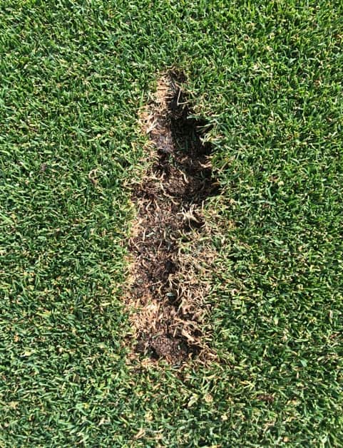Why Fix Divot Golf? (Keep the Course in Great Shape for Everyone)