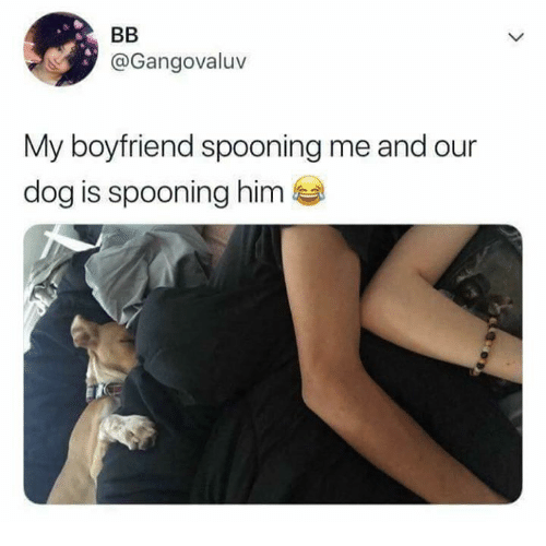 Confused about the meaning of spoon me? Find out exactly what this common cuddle position involves.