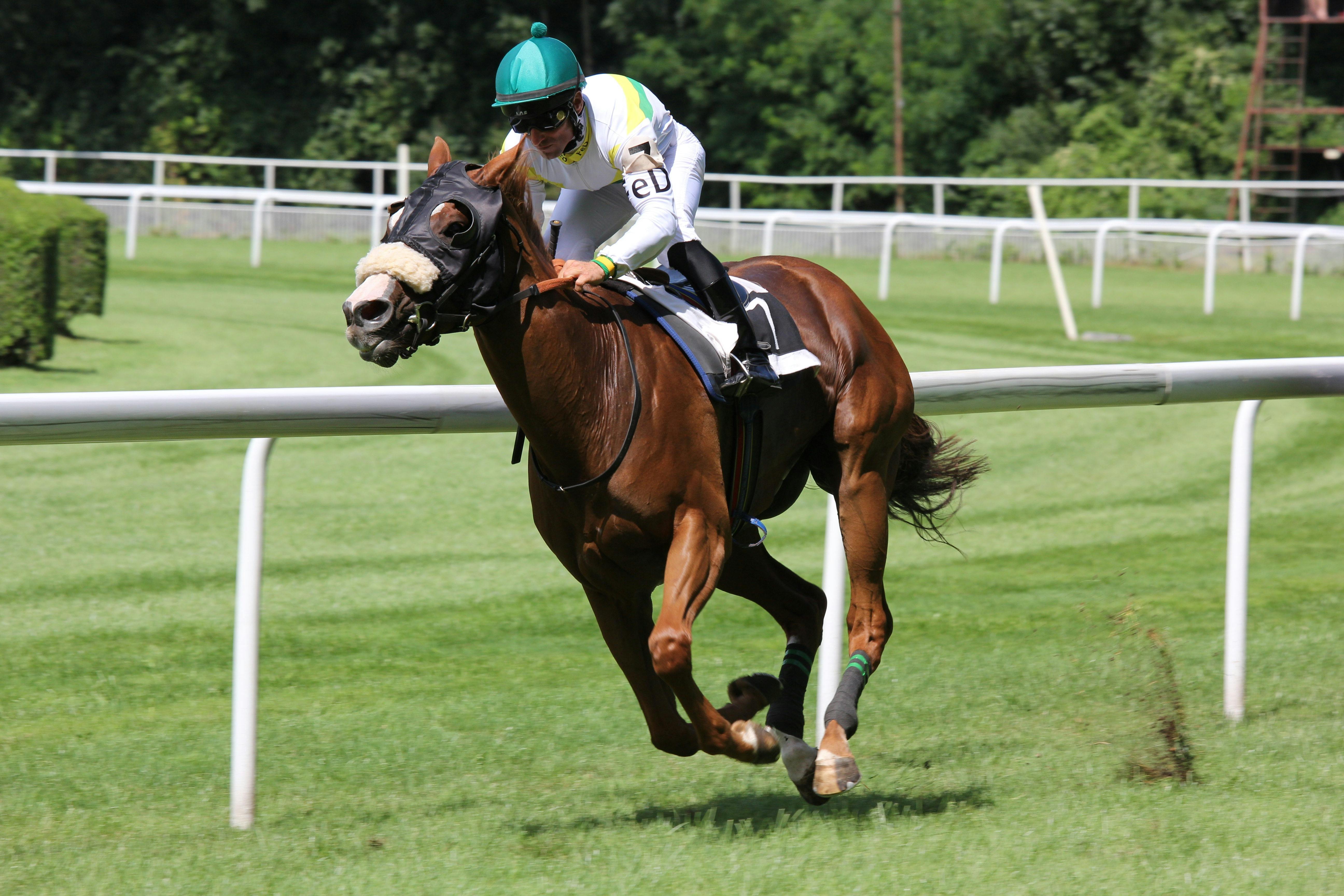 Free Horse Race Pictures: Download High-Quality Images Today!