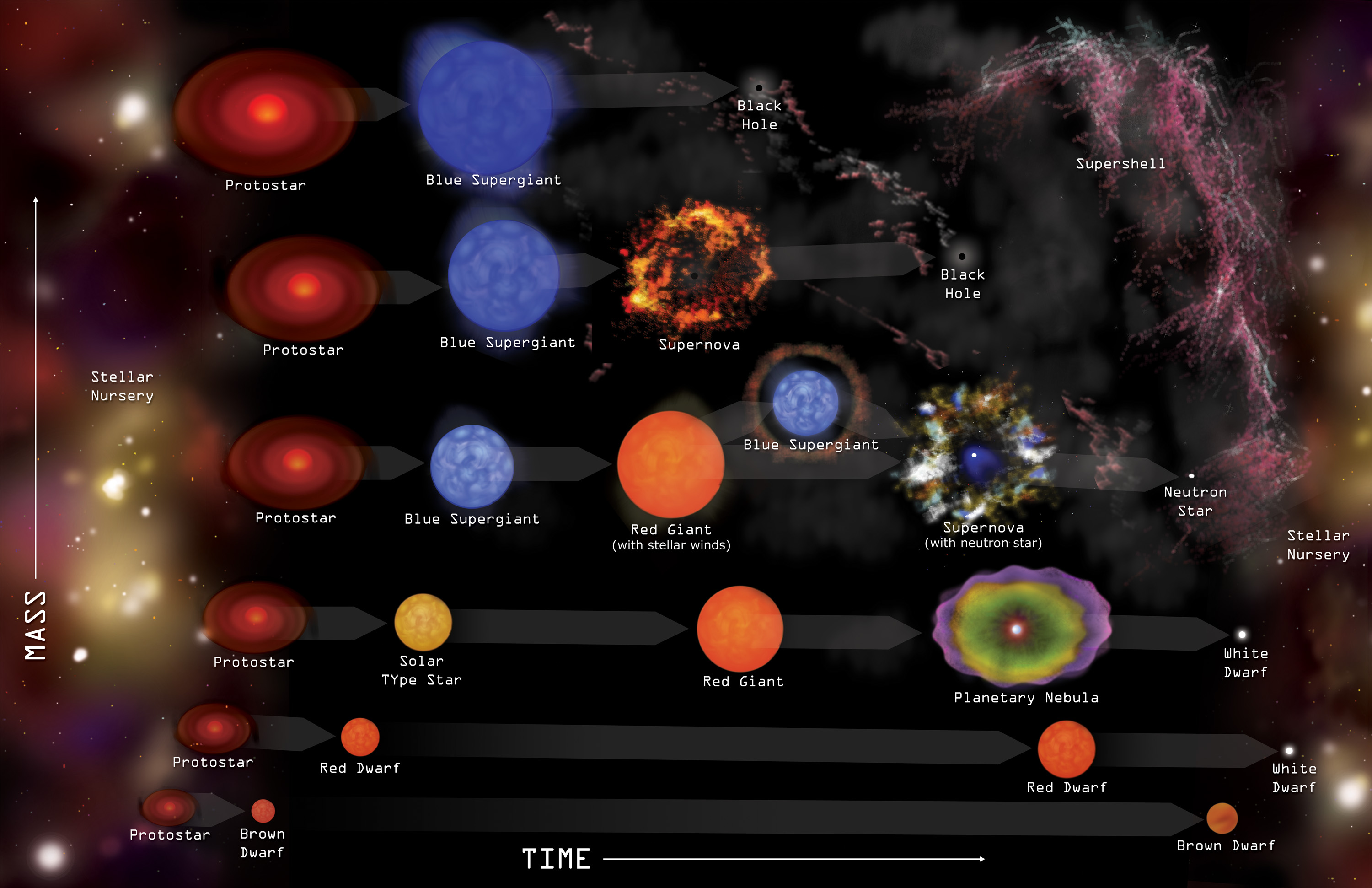 Discover the fate of stars: A beginners guide to stellar evolution.