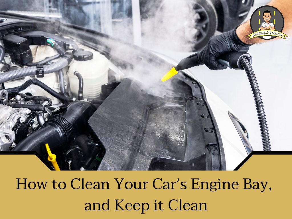 wa-ve engine Benefits:Why Should You Care About It?