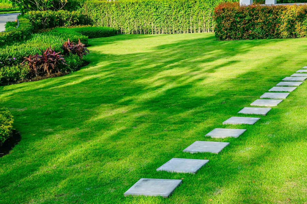 Best Turf Specialist? Read Reviews & Compare service.