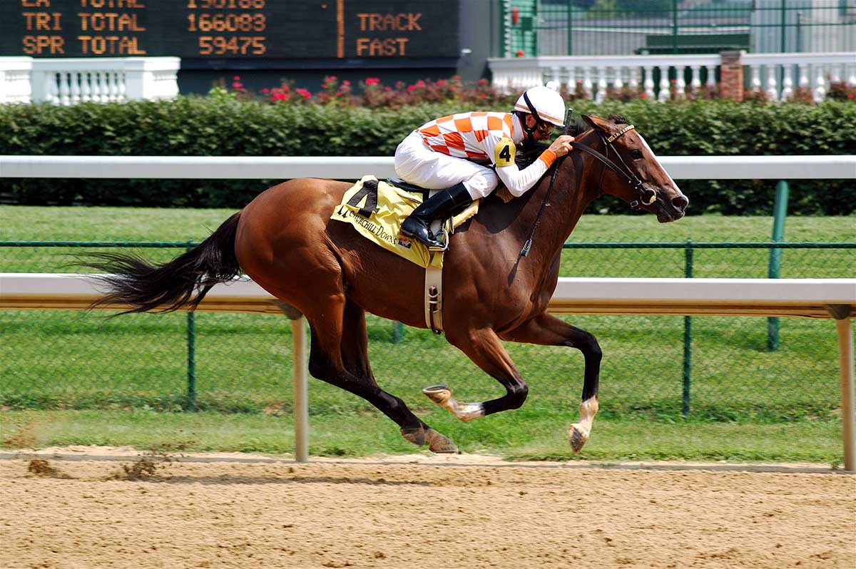 Fastest Racehorse in the World: Unbelievable Speed!