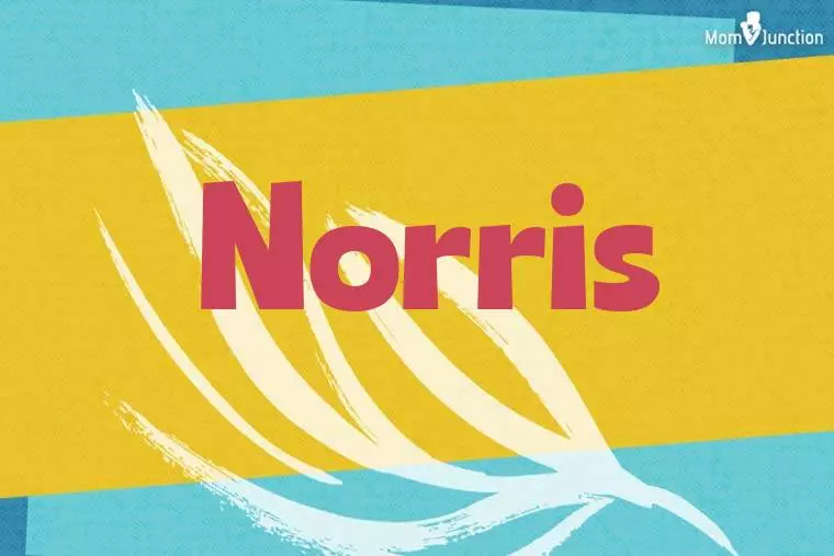 Deep Dive into Norris Origin: History, Meaning & Famous Norrises.