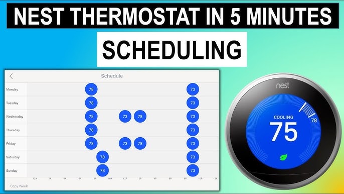 Never miss a show with the updated nest tv schedule: Learn how to set reminders and find out exactly when your must-watch programs are on.