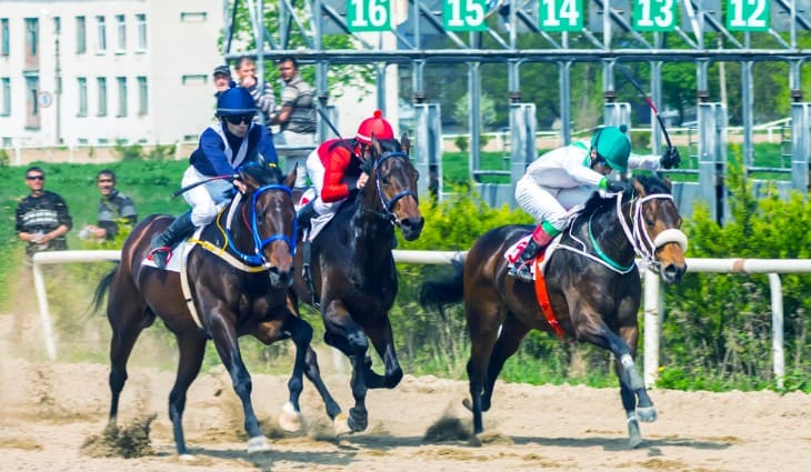 Quinella Horse Racing: Easy Tips and Tricks (Bet Like a Pro)