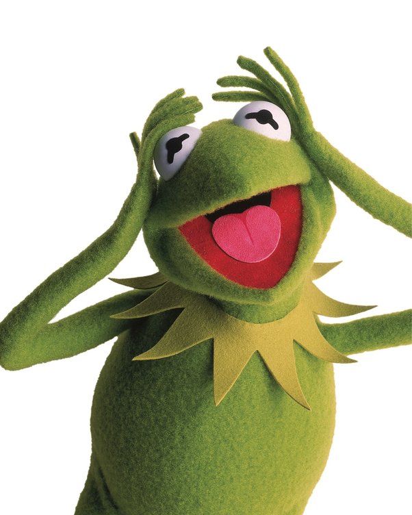 The Big Deal About Kermit the Frog Feet Explained! Why Fans Are So Interested!