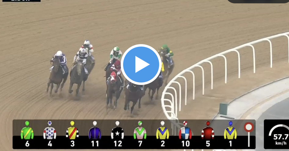 UAE Derby 2024 Results: See Who Won the Big Race!