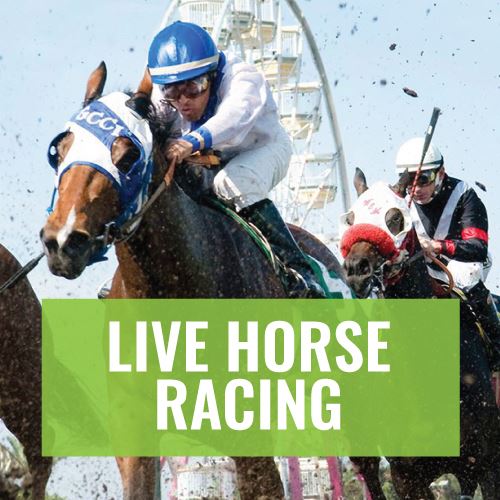 What makes fresno fair racing so much fun? Discover the unique thrill of live horse races and easy betting.