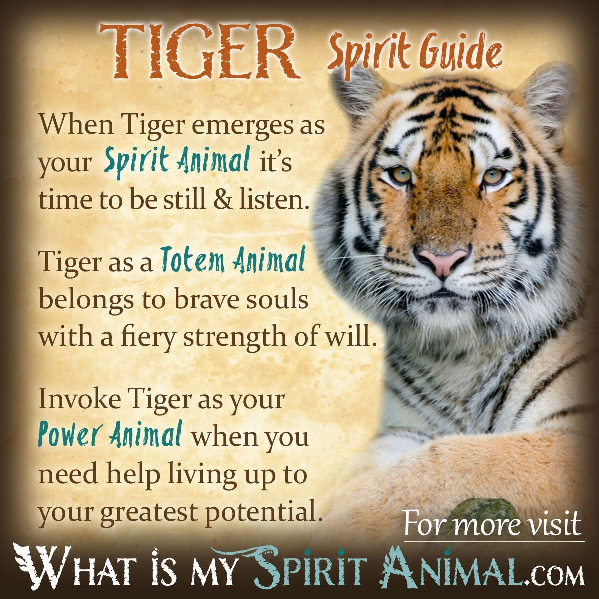 The symbolism of the horse and tiger: Exploring cultural meanings and interpretations worldwide.