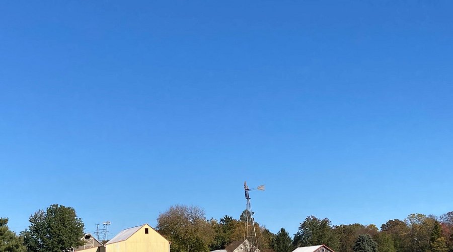 Is merryland farm worth visiting? See why families love spending a day at this amazing place.