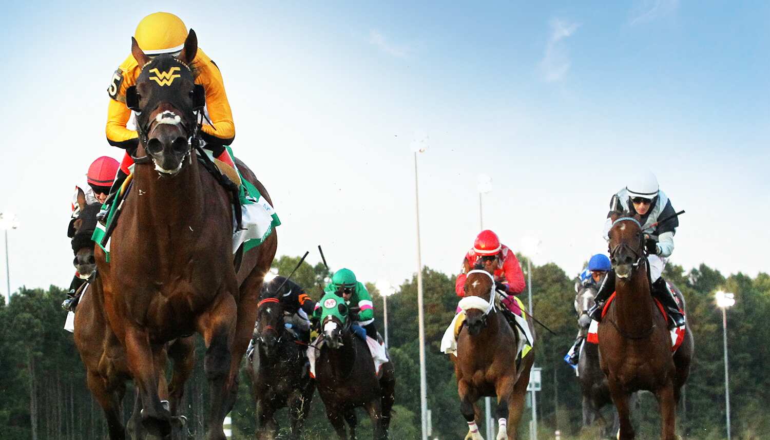 Interested in horse racing at Colonial Downs in Virginia? Find the latest race schedules and event information here.