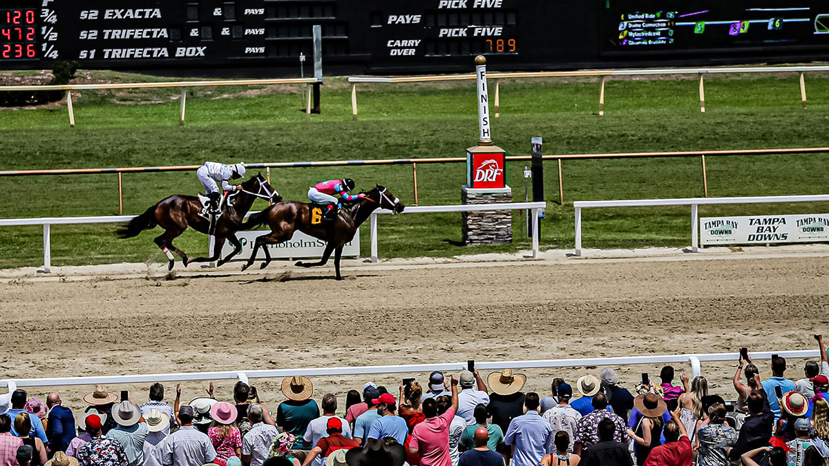 How do you check the Tampa Bay Downs calendar? Access the official schedule and race days info.
